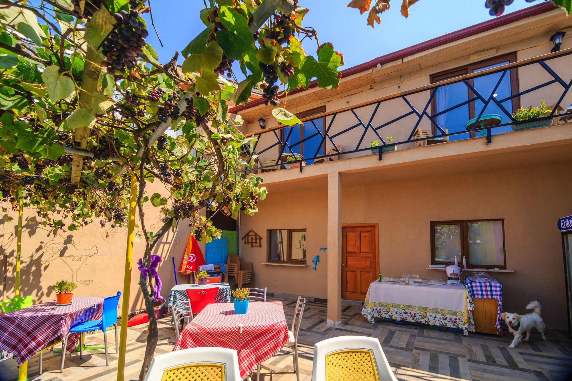 Frau Guler Boutique Hotel Amasra Exterior photo